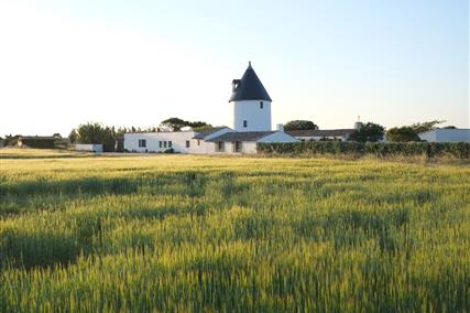 Location moulin Le Sénéchal Ile De Ré