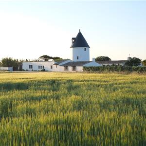 Location moulin Le Sénéchal Ile De Ré