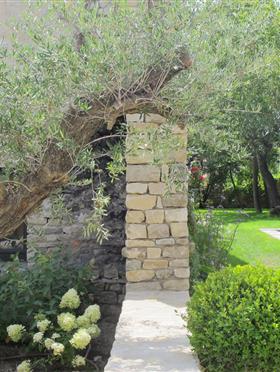 Jardin Villa de Luxe Ile de Ré - Hôtel le Sénéchal