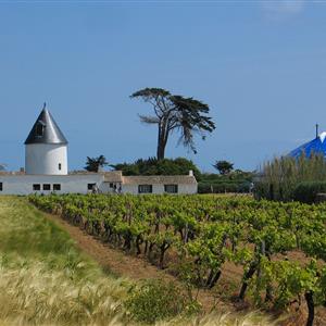 Mariage hôtel le Sénéchal Ile de Ré (17)