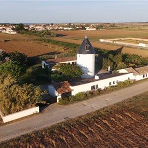 Moulin Le Sénéchal Ile De Ré